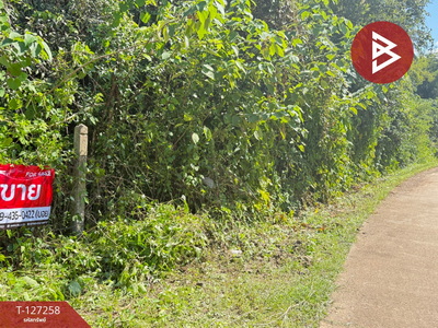 ���Թ�Ҥһ����Թ ��§����