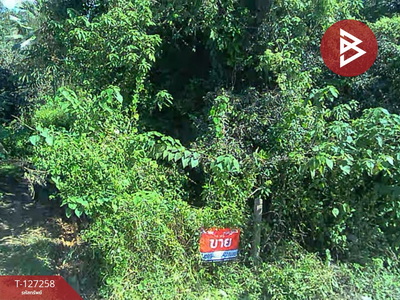 ���Թ��§���� ��§����