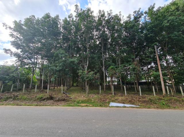 ���Թ��� ��ҹ