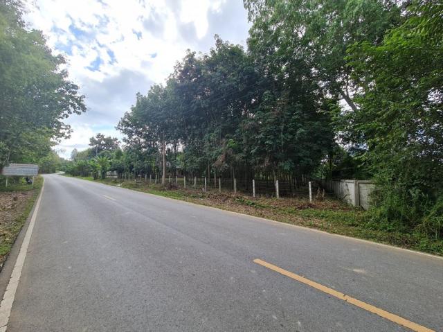 ��·��Թ ��ǹ�ҹ