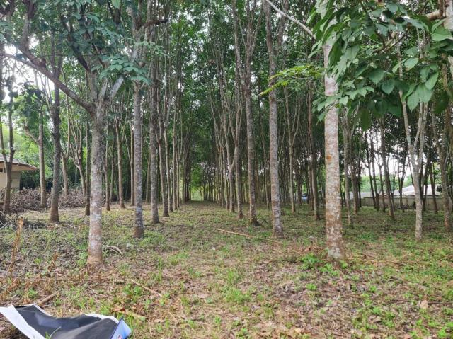 ��·��Թ ��ǹ�ҹ