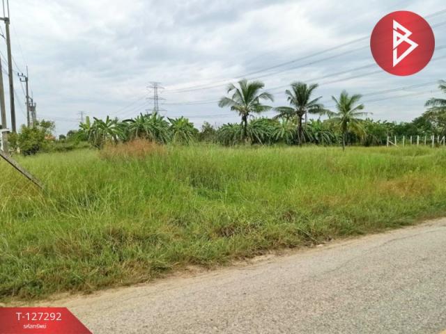 ���Թ˹ͧ�͡ ˹ͧ�͡