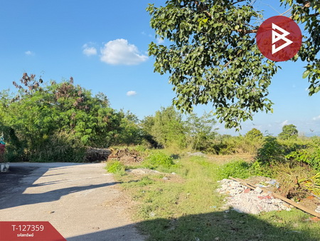 �Ӿٹ �� The Best Property Agent