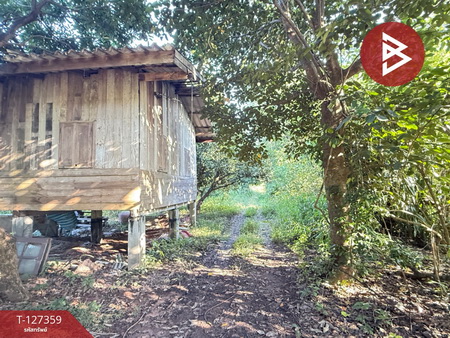 ��·��Թ ���ͧ�Ӿٹ�Ӿٹ