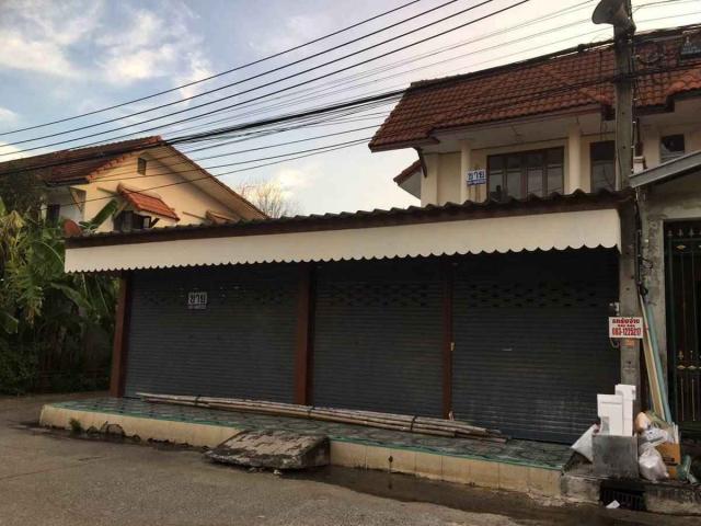 ��º�ҹ �ҧ��Ƿͧ�������