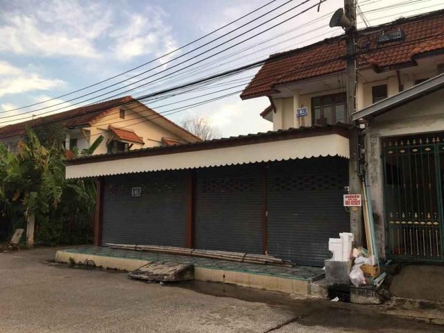 ��º�ҹ �ҧ��Ƿͧ�������