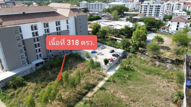 ���Թ ���ͧ �͹��