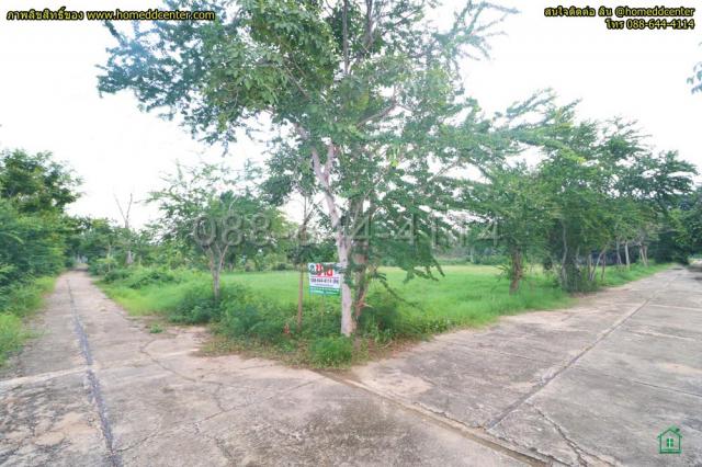 ���Թ���ͧྪú��� ྪú���