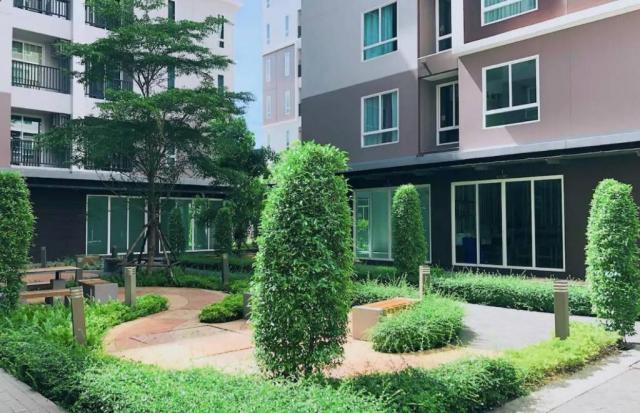 �͹������� �͹���ͧ