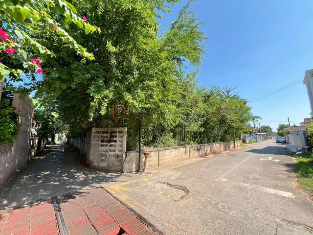 ���Թ ���ͧ �͹��