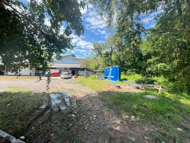 ���Թ ���ͧ �͹��