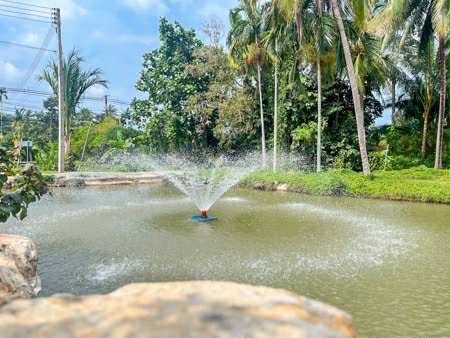 ��ҹ������ ������� ����ɮ��ҹ�