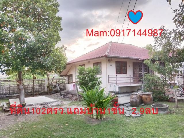 ��·��Թ �ѹ�����