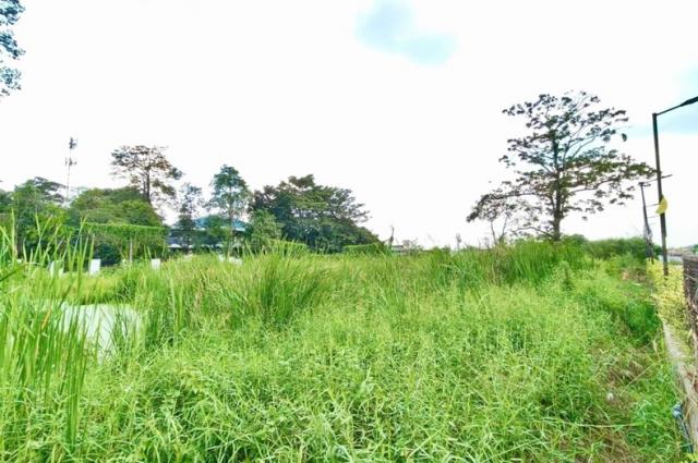 ��·��Թ �չ���ա�ا෾