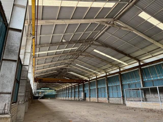 �Ԥ��Ѳ�� �� sopa