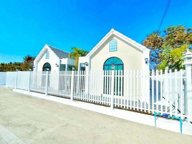 ��ҹ�ѹ��ҵͧ ��§����