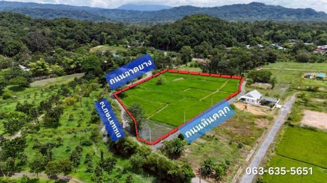 ���Թ 5 ���