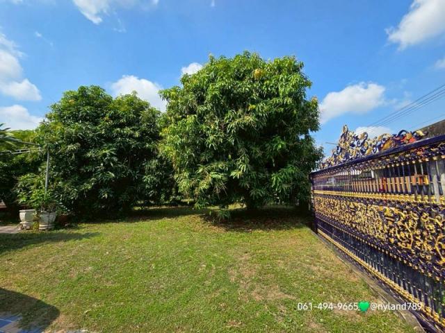 ��º�ҹ ���ͧ��ù�¡��ù�¡