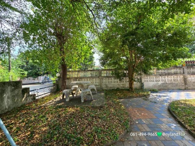 ��º�ҹ ���ͧ��ù�¡��ù�¡