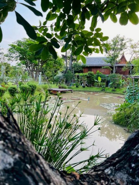 ��º�ҹ ͧ��ѡ�칤ù�¡