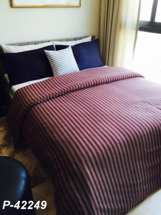 �͹⴨���ͧ ö俿��