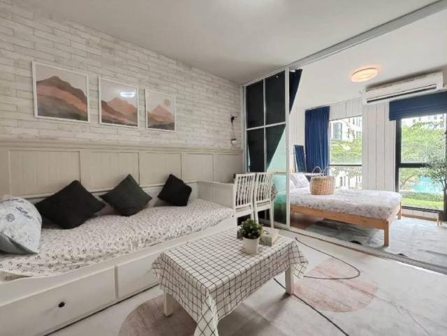 ��¤͹� 31���