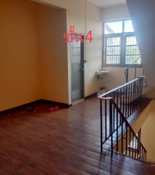 ����Ҥ�þҳԪ�� �ҧ�