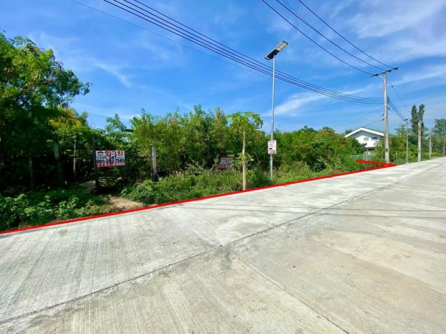 ���Թ�ù��� �������