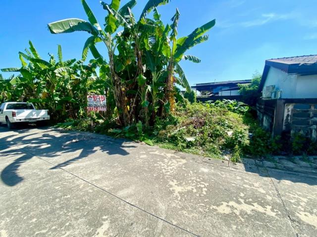 ���Թ ����������