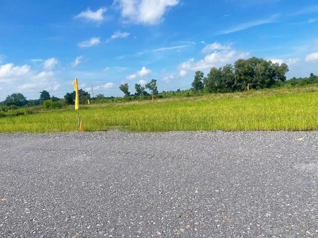 ���Թ˹ͧ���� �����ҹ�