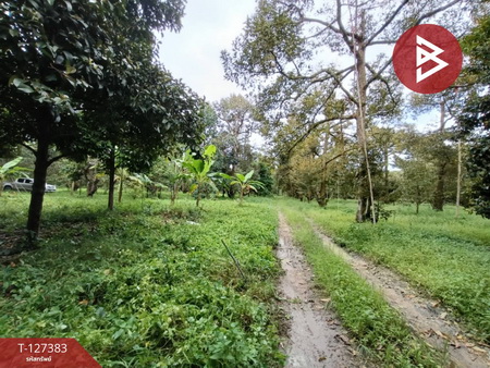 ������ͧ �� The Best Property Agent