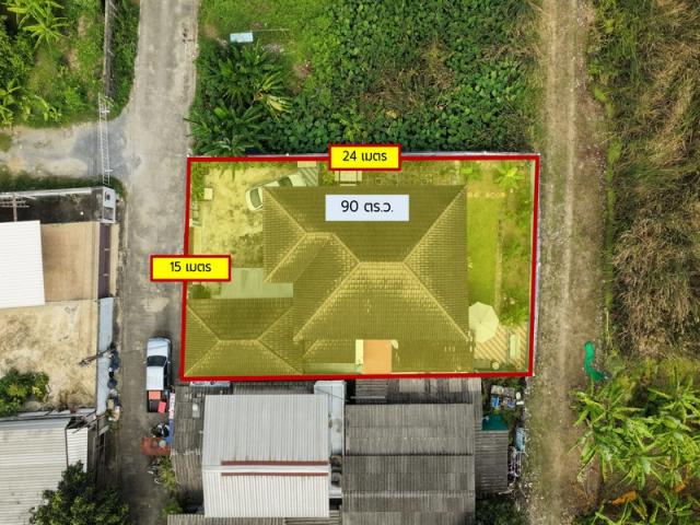 ��º�ҹ �ҧᤡ�ا෾