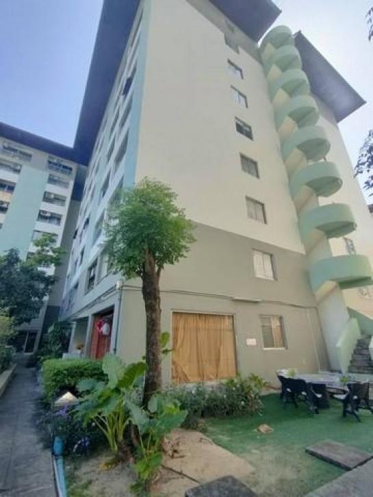 �͹ⴺҧ�л� ��ا෾��ҹ��