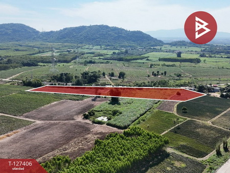 �ź��� �� The Best Property Agent