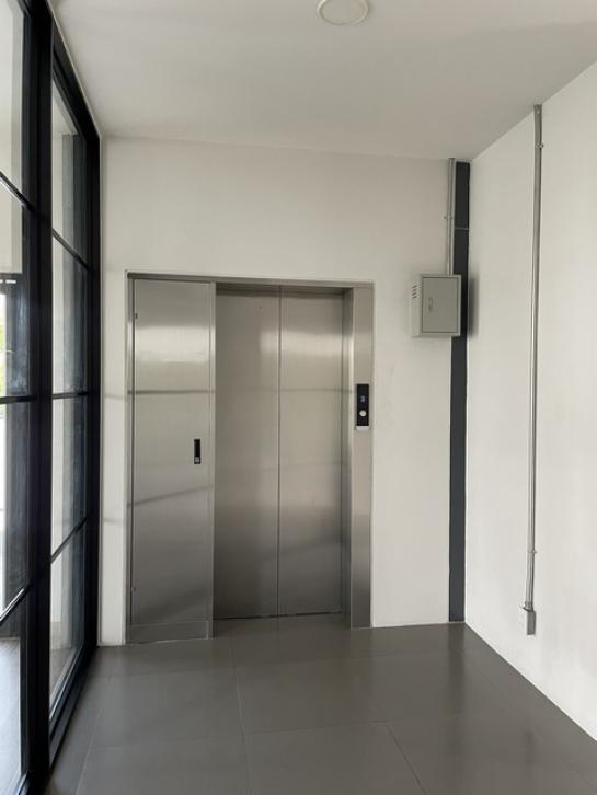 ⡴ѧ������ �ѧ�ͧ��ҧ��ا෾