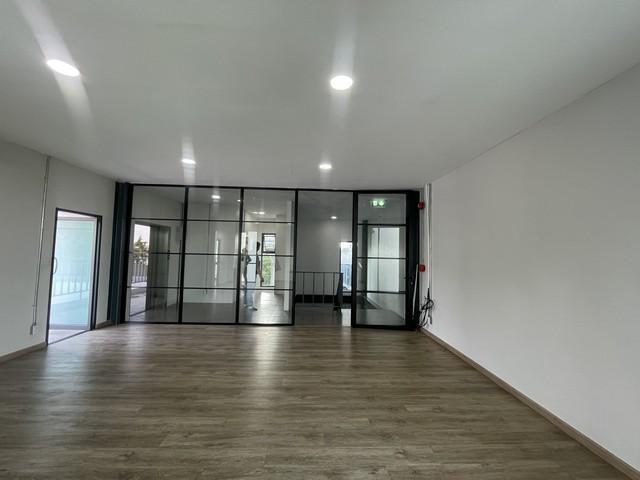 ⡴ѧ������ �ѧ�ͧ��ҧ��ا෾