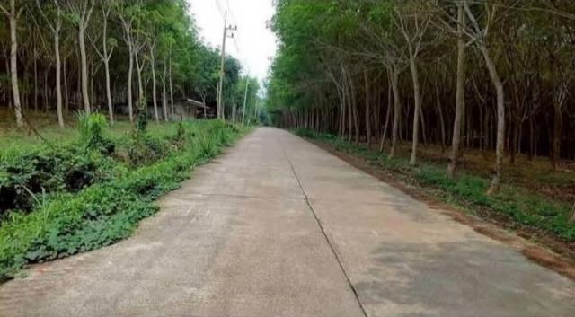 ���Թ �ǹ�ҧ