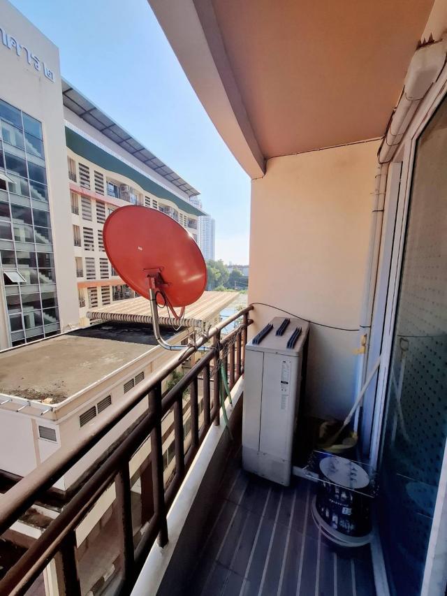 ��¤͹� �ҧ������