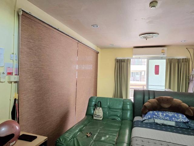 ��¤͹� �ҧ������