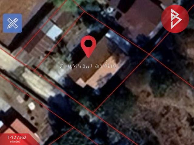 ��º�ҹ ���� �͹��