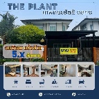 ��º�ҹ 5,500,000 �ҷ