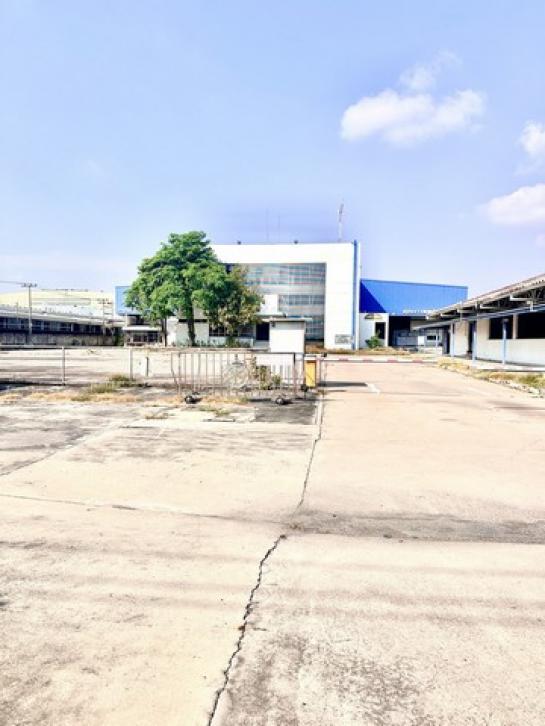 ����ç�ҹ �ҧ��Ҹ���طû�ҡ��