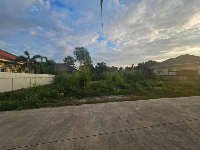 Pattaya dot Property