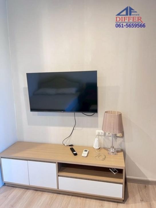 �͹������� �ҧ�˭蹹�����