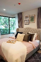 �����Ҥ͹������� �Ҥһ�С�������� 44,000 �ҷ/��͹