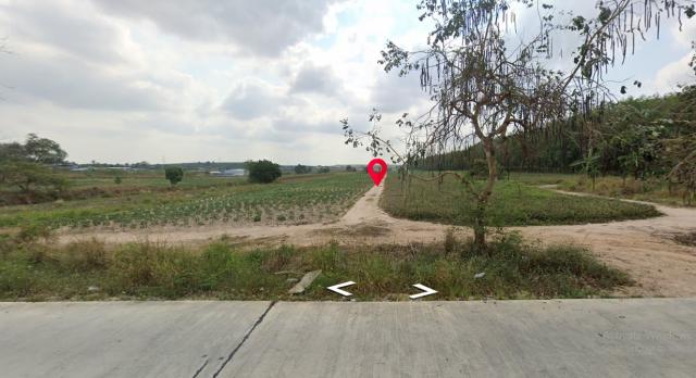 ¢Ò·Õè´Ô¹ 31.5 äÃè ¢Ò·Õè´Ô¹ 31.5 äÃè