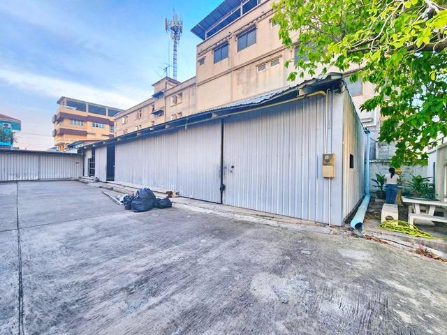 ⡴ѧ������ ������