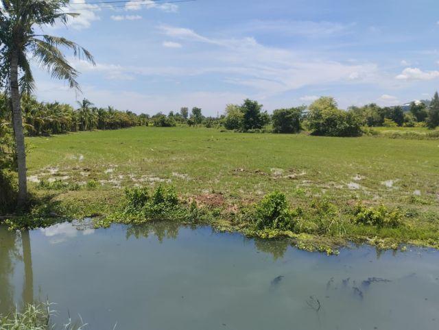 ���Թ �� ��� �Ҫ����