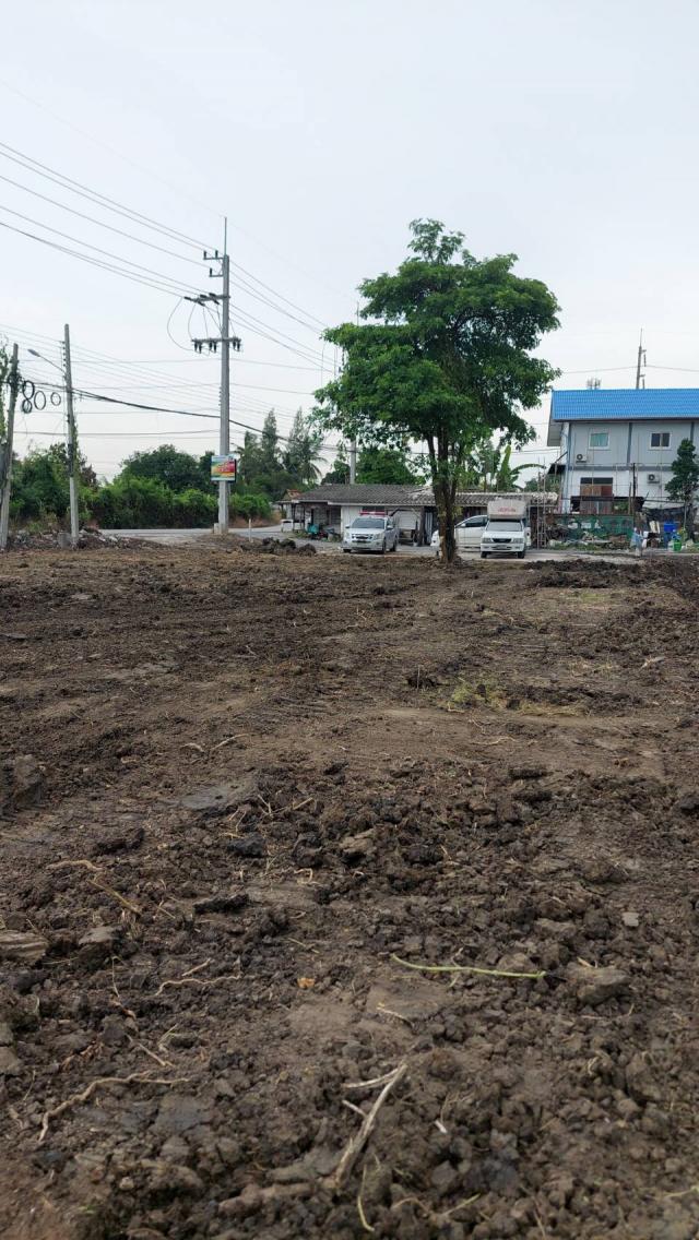 ���Թ 21 ���