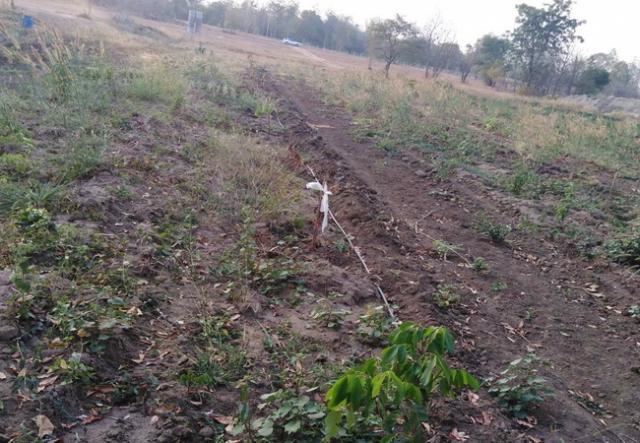 ��·��Թ ���ͧ�ҡ�ҡ